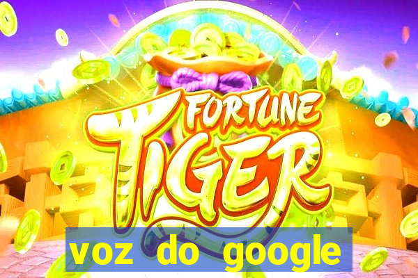 voz do google tradutor homem